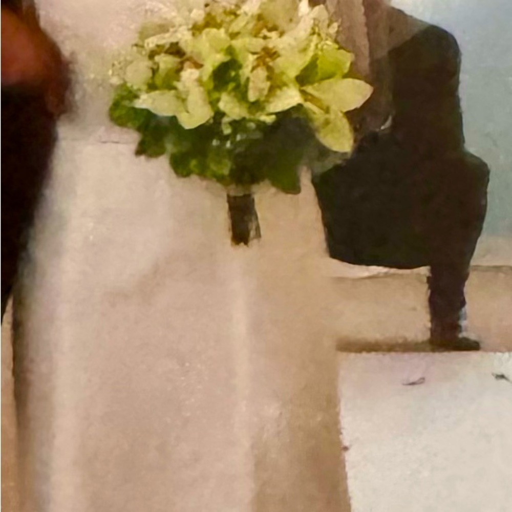 Vera Wang wedding dress